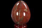 Colorful, Polished Petrified Wood Egg - Triassic #92429-1